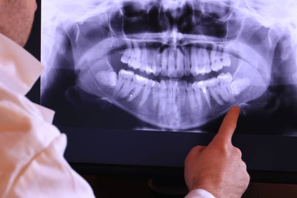 Best Emergency X-Rays and Diagnostics in Mercerville, NJ